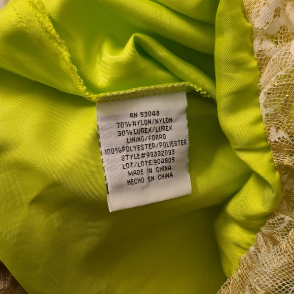 Light Green and Gold Lace Short Formal, Homecoming Fairy Dress - Picture 5 of 9